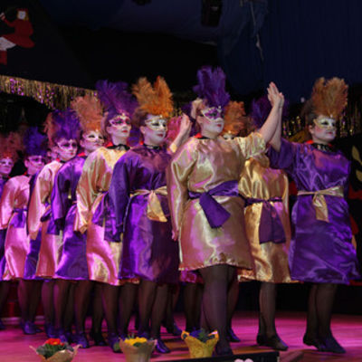 Bild vergr&ouml;&szlig;ern: Landkreisfasching 2015 (32)
