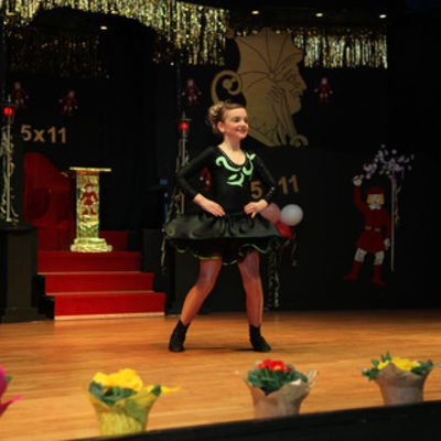 Bild vergr&ouml;&szlig;ern: Landkreisfasching 2015 (07)