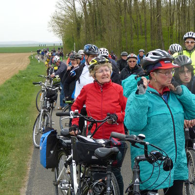 Bild vergr&ouml;&szlig;ern: Fahrradtour 2015 (087)