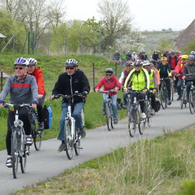 Bild vergr&ouml;&szlig;ern: Fahrradtour 2015 (050)