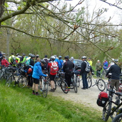 Bild vergr&ouml;&szlig;ern: Fahrradtour 2015 (084)