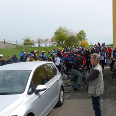 Bild vergr&ouml;&szlig;ern: Fahrradtour 2015 (098)