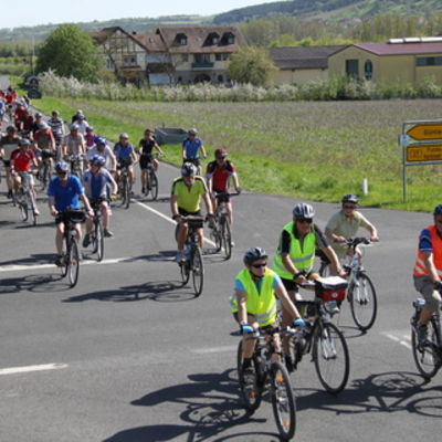 Bild vergr&ouml;&szlig;ern: Radlerfr&uuml;hling 104