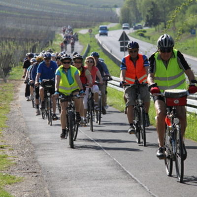 Bild vergr&ouml;&szlig;ern: Radlerfr&uuml;hling 010