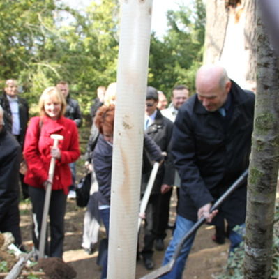 Bild vergr&ouml;&szlig;ern: Tschechien 49