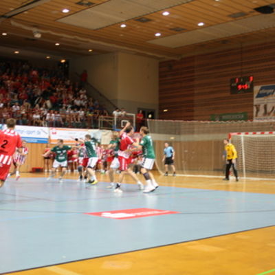 Bild vergr&ouml;&szlig;ern: IMG Handball (09)