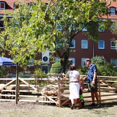 Bild vergr&ouml;&szlig;ern: TagderoffenenT&uuml;rLRA09.09.2012 (009)