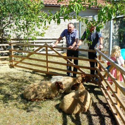 Bild vergr&ouml;&szlig;ern: TagderoffenenT&uuml;rLRA09.09.2012 (202)