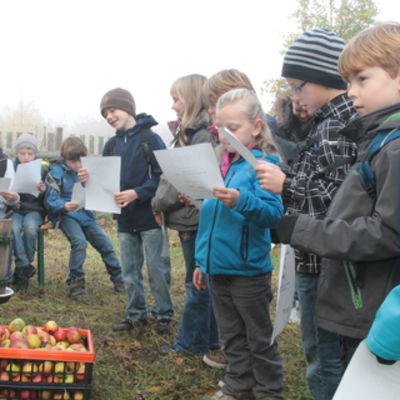 Bild vergr&ouml;&szlig;ern: Superkids Hettstadt (30)