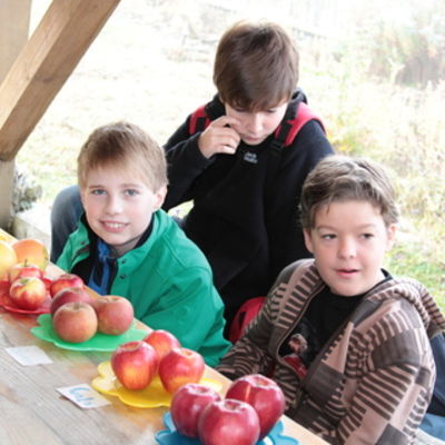 Bild vergr&ouml;&szlig;ern: Superkids Hettstadt (08)