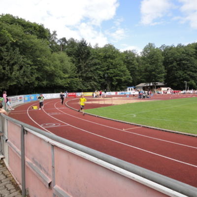 Bild vergr&ouml;&szlig;ern: Kreissportfest_2012_Grundschule_(03)                              