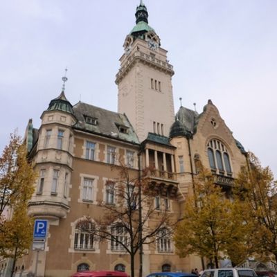 Bild vergr&ouml;&szlig;ern: Olm&uuml;tz 2013 (179)