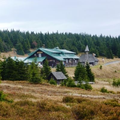 Bild vergr&ouml;&szlig;ern: Olm&uuml;tz 2013 (202)