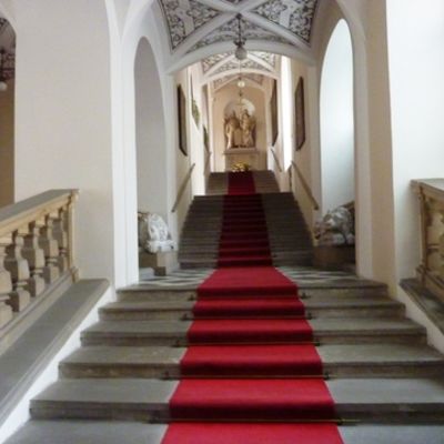 Bild vergr&ouml;&szlig;ern: Olm&uuml;tz 2013 (192)