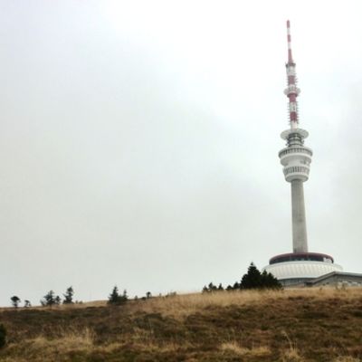 Bild vergr&ouml;&szlig;ern: Olm&uuml;tz 2013 (204)