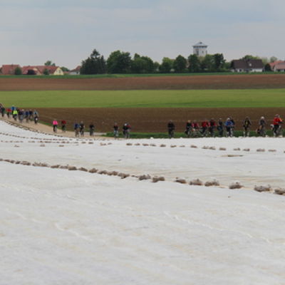 Bild vergr&ouml;&szlig;ern: Radlerfr&uuml;hling 10052014 (21)