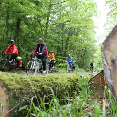 Bild vergr&ouml;&szlig;ern: Radlerfr&uuml;hling 10052014 (28)
