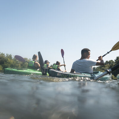 Drei Kajaks auf dem Main paddeln von der Kamera weg. Im Hintergrund ist das begr&uuml;nte Ufer zu sehen.