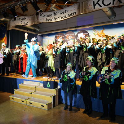 Bild vergr&ouml;&szlig;ern: Eindr&uuml;cke vom 28. Landkreisfasching