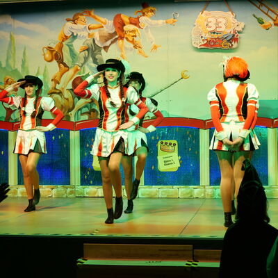 Bild vergr&ouml;&szlig;ern: Eindr&uuml;cke vom 28. Landkreisfasching