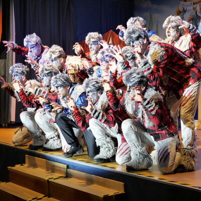 Bild vergr&ouml;&szlig;ern: Eindr&uuml;cke vom 28. Landkreisfasching