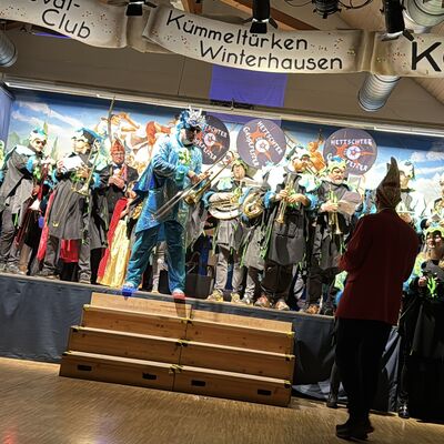 Bild vergr&ouml;&szlig;ern: Eindr&uuml;cke vom 28. Landkreisfasching