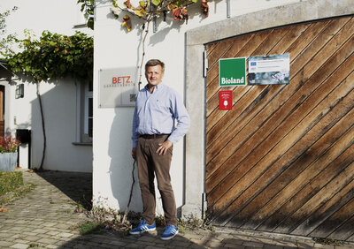 Ank&uuml;ndigung Bio-Weinfest by Daniel Delang