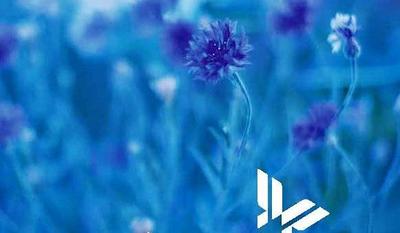 Titelbild LGS-Brosch&uuml;re