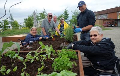 Bepflanzung_barrierefreies_Hochbeet                 