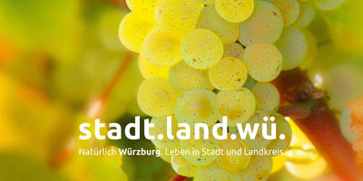 LGS-Programm Bild MainDreieck