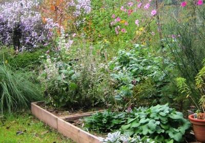 LGS - Strabo-Garten Veitsh&ouml;chheim 