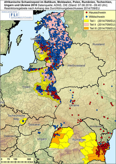 Afrikanische Schweinepest - ASP - in Osteuropa