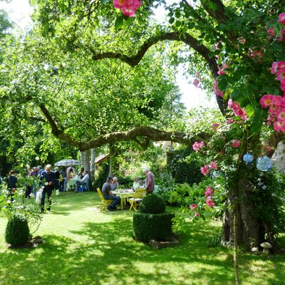 Bild vergr&ouml;&szlig;ern: Ein Festtag f&uuml;r alle Gartenfreunde ist in jedem Jahr der Tag der offenen Gartent&uuml;r, wie hier bei Anita Rau in Frickenhausen.
