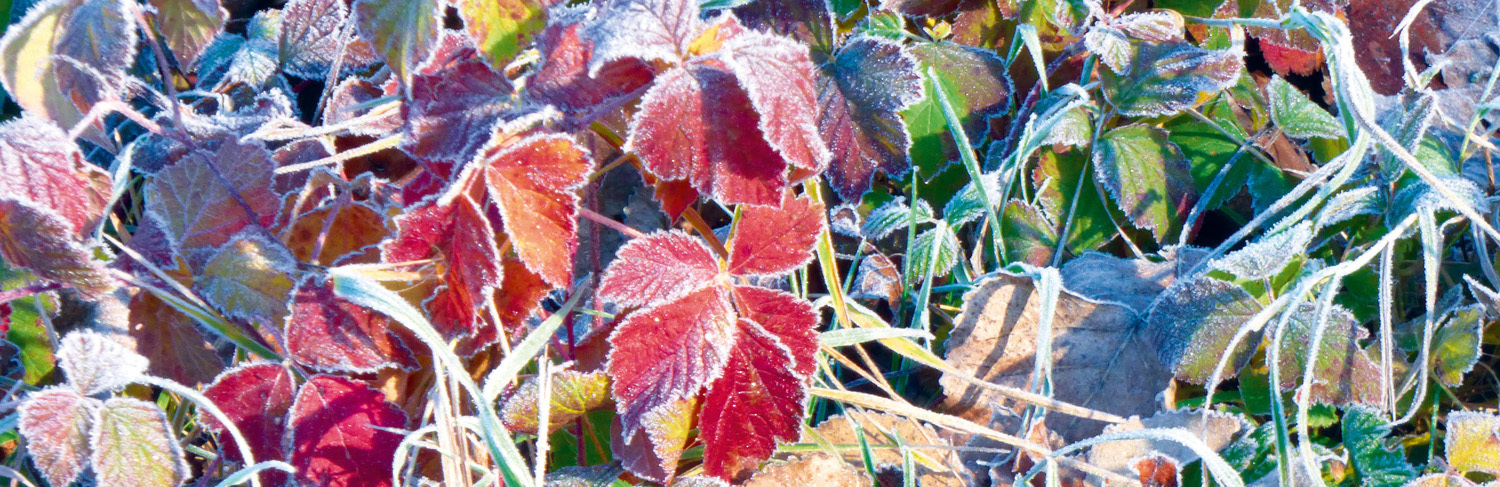 Wintervorfreude in Winterhausen