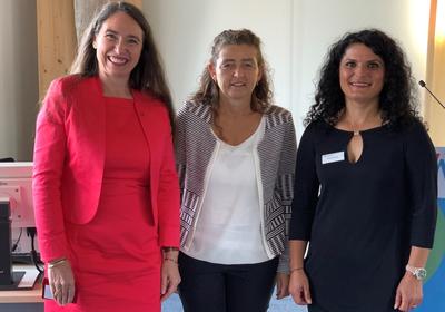 Powertag Inge Bell, Zickenkrieg 