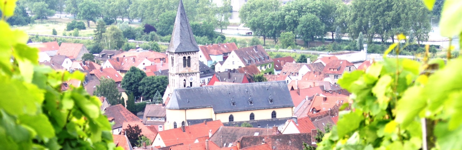 Blick durch die Weinberge auf Randersacker