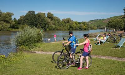 Radfahren am Mainradweg bei Randersacker
