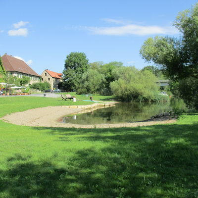 Bild vergr&ouml;&szlig;ern: Mainl&auml;nde Winterhausen        
