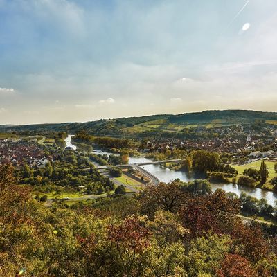 Wald vor dem Main bei Ochsenfurt.