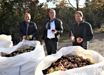 v.l.: Landrat Thomas Eberth besuchte zusammen mit dem Bürgermeister von Margetshöchheim Waldemar Brohm die Main-Streuobst-Bienen eG und ihren Geschäftsführer Krischan Cords.