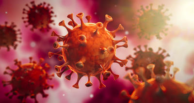 Corona Virus im Inneren des KÃ¶rpers - Wuhan Virus