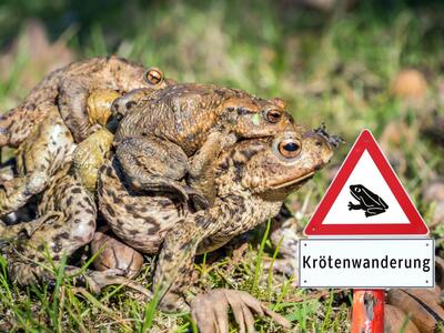 Kr&ouml;tenwanderung