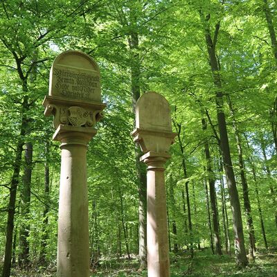 Zwei Denkmäler umgeben von Wald.