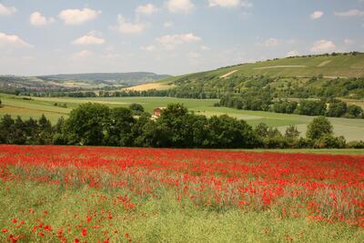 Landschaft bei Tauberrettersheim - by Herbert Ehehalt