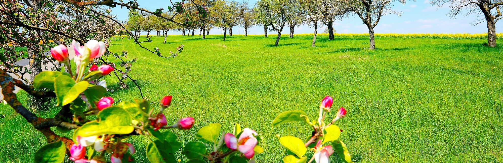 Es gr�nt so gr�n im Landkreis W�rzburg