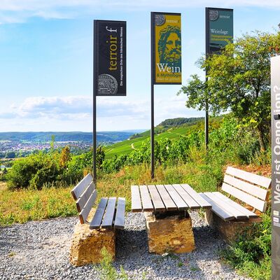 B&auml;nke vor Fahnen mit dem terroir-f Logo im Th&uuml;ngersheimer Weinberg.