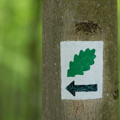 Ein Wegweiser mit Pfeil und Eichblatt ist auf einen Baumstamm gemalt.