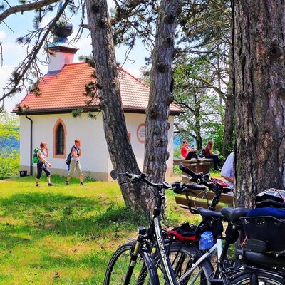 Erlabrunner K&auml;ppele