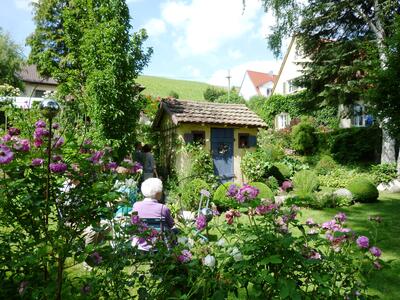 Garten Rau, Frickenhausen 