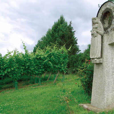 Die M&uuml;hlsteinmadonna